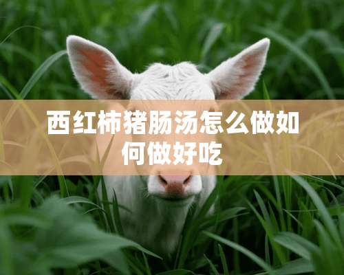 西红柿猪肠汤怎么做如何做好吃