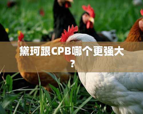 黛珂跟CPB哪个更强大？