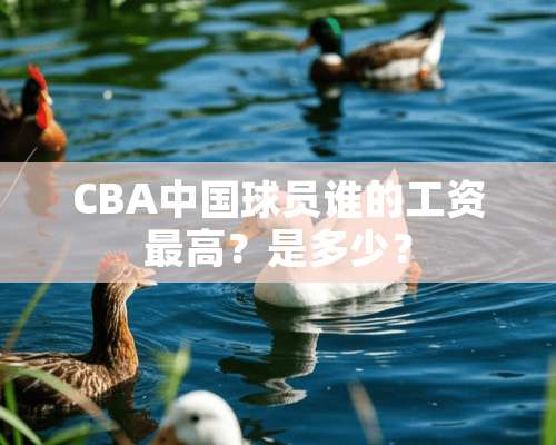 CBA中国球员谁的工资最高？是多少？