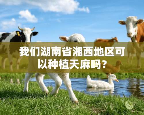 我们湖南省湘西地区可以种植天麻吗？