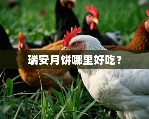 瑞安月饼哪里好吃？