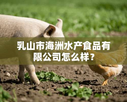 乳山市海洲水产食品有限公司怎么样？