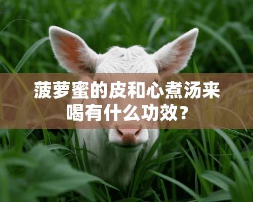 菠萝蜜的皮和心煮汤来喝有什么功效？