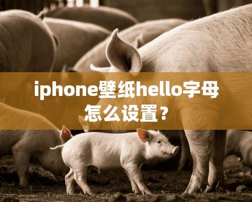 iphone壁纸hello字母怎么设置？