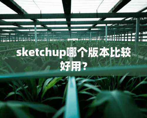 sketchup哪个版本比较好用？