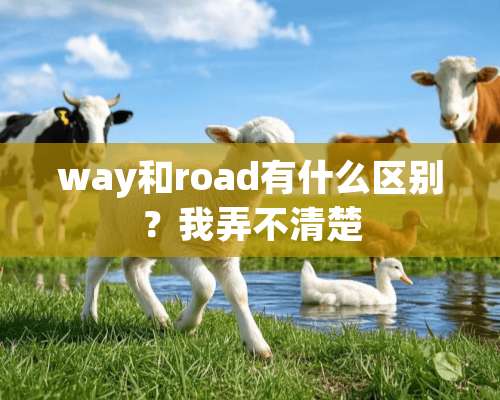 way和road有什么区别？我弄不清楚