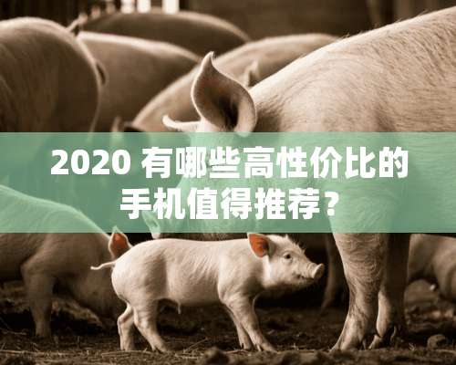 2020 有哪些高性价比的手机值得推荐？