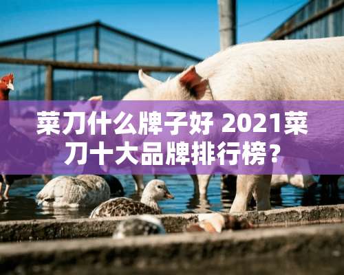 菜刀什么牌子好 2021菜刀十大品牌排行榜？