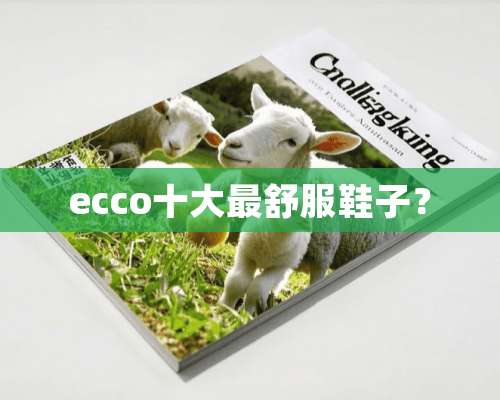 ecco十大最舒服鞋子？