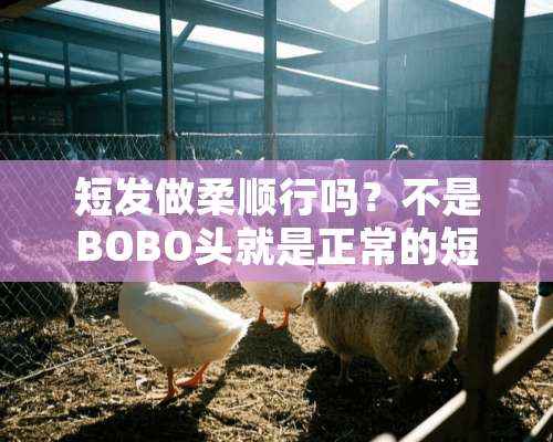 短发做柔顺行吗？不是BOBO头就是正常的短发？