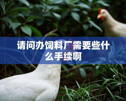 请问办饲料厂需要些什么手续啊