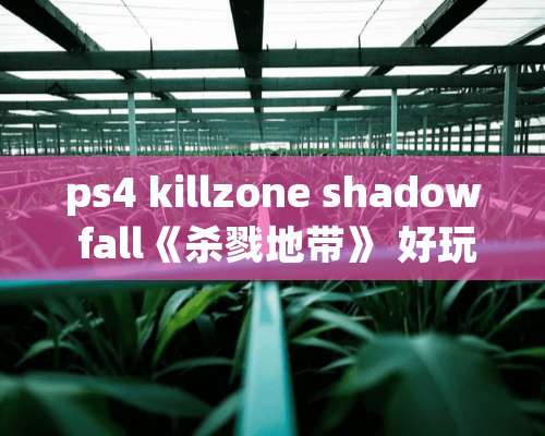 ps4 killzone shadow fall《杀戮地带》 好玩吗？