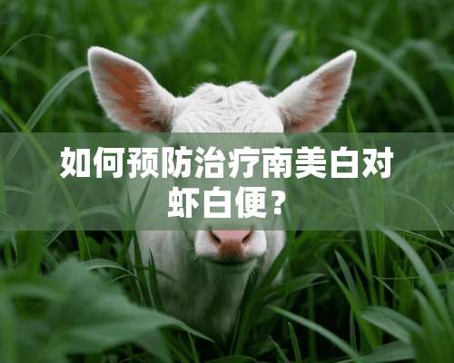 如何预防治疗南美白对虾白便？