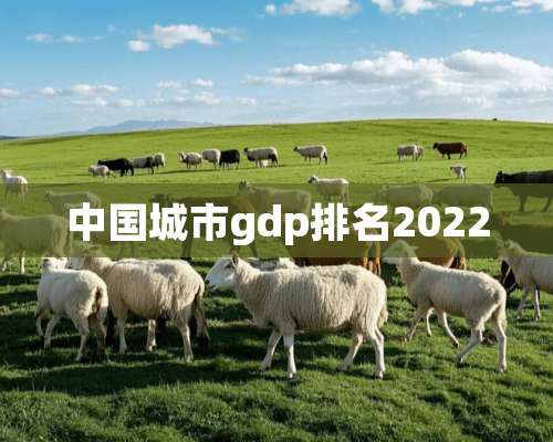 中国城市gdp排名2022