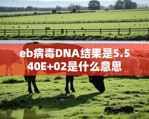 eb**DNA结果是5.540E+02是什么意思