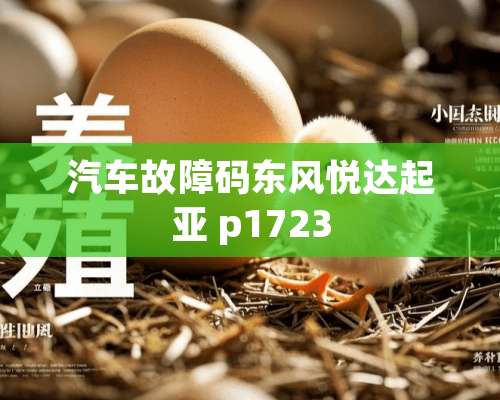 汽车故障码东风悦达起亚 p1723