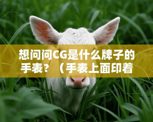 想问问CG是什么牌子的手表？（手表上面印着的） 如果不是牌子那是指什么