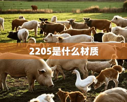 2205是什么材质