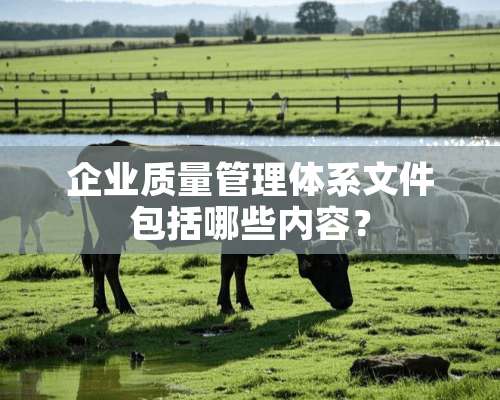 企业质量管理体系文件包括哪些内容？