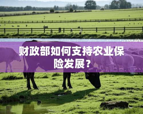 财政部如何支持农业保险发展？