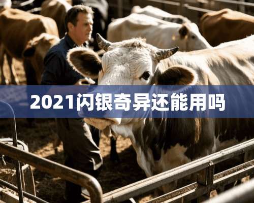 2021闪银奇异还能用吗