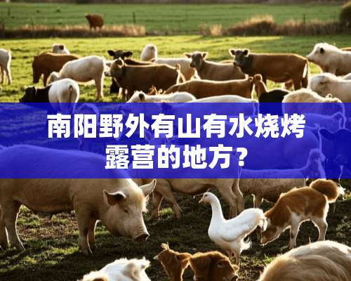 南阳野外有山有水烧烤露营的地方？