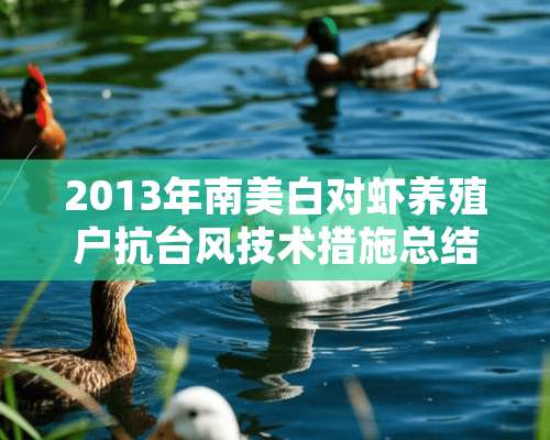 2013年南美白对虾养殖户抗台风技术措施总结