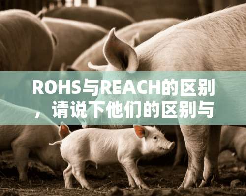 ROHS与REACH的区别，请说下他们的区别与相同之处.