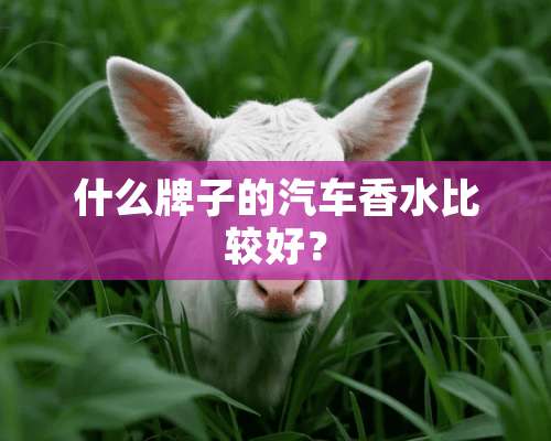 什么牌子的汽车香水比较好？