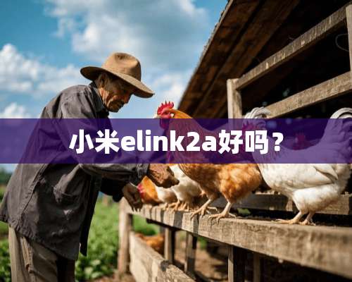 小米elink2a好吗？