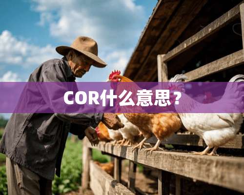 COR什么意思？