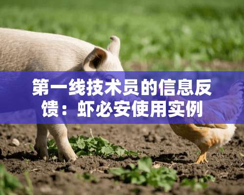 第一线技术员的信息反馈：虾必安使用实例