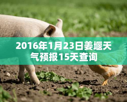 2016年1月23日姜堰天气预报15天查询