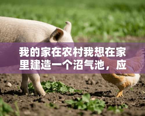 我的家在农村我想在家里建造一个沼气池，应该怎么做？