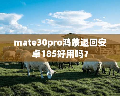 mate30pro鸿蒙退回安卓185好用吗？