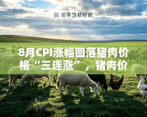 8月CPI涨幅回落猪肉价格“三连涨”，猪肉价为何没降？