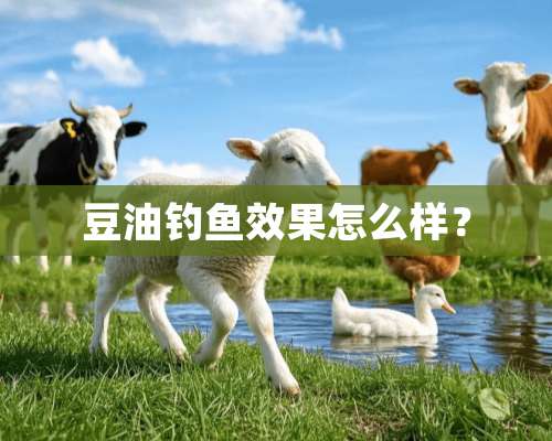 豆油钓鱼效果怎么样？