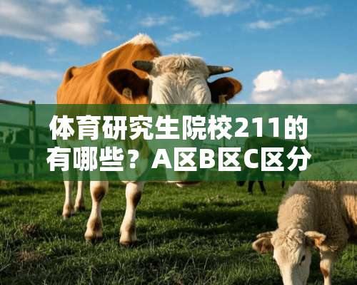 体育研究生院校211的有哪些？A区B区C区分别都有哪些院校