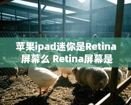 苹果ipad迷你是Retina 屏幕么 Retina屏幕是什么意思？