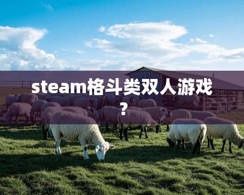 steam格斗类双人游戏？