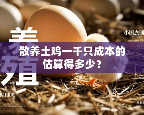 散养土鸡一千只成本的估算得多少？