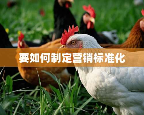 要如何制定营销标准化