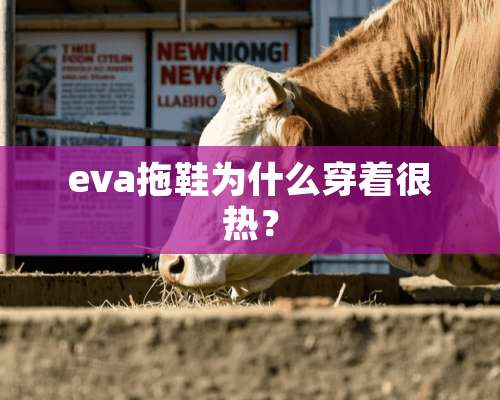 eva拖鞋为什么穿着很热？