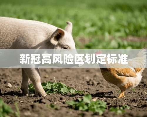 新冠高风险区划定标准