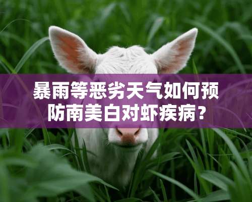 暴雨等恶劣天气如何预防南美白对虾疾病？