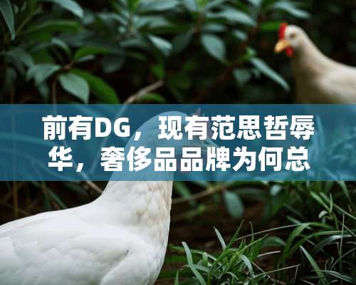 前有DG，现有范思哲**，奢侈品品牌为何总犯这种“低级错误”？