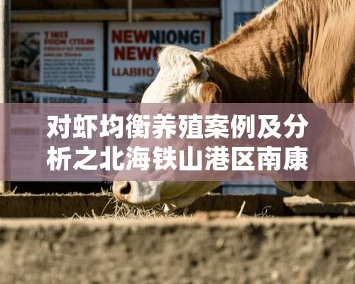 对虾均衡养殖案例及分析之北海铁山港区南康镇篇