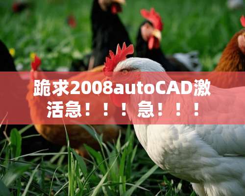 跪求2008autoCAD激活急！！！急！！！