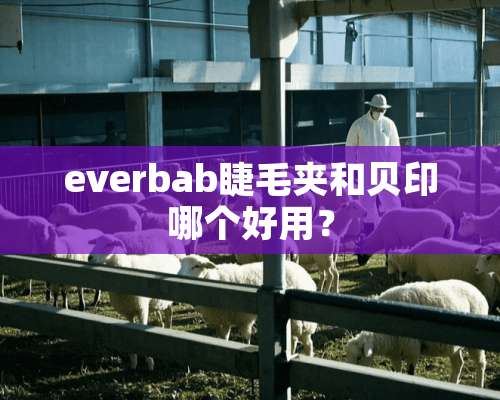 everbab睫毛夹和贝印哪个好用？