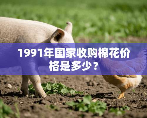 1991年国家收购棉花价格是多少？